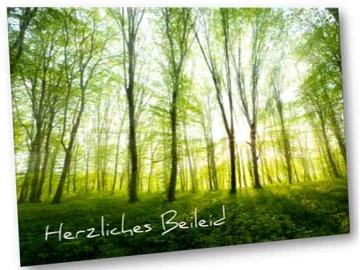 Christliche Trauerkarte: Lichtdurchfluteter Frühlingswald