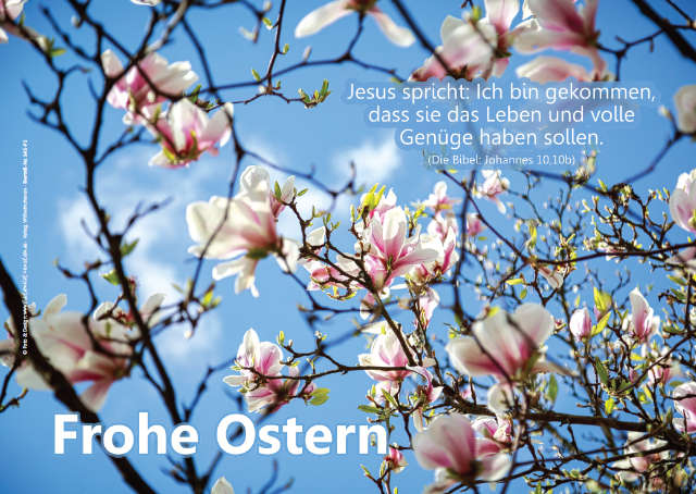Poster Ostern A4 - Magnolienblüten