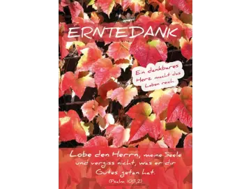 Banner Erntedank - Bunt gefärbte Weinblätter