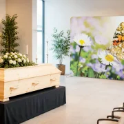 Zipper-Wall mit Diestelfalter auf Gänseblümchen als stilvolle Dekoration für Trauerhallen und Trauerfeiern