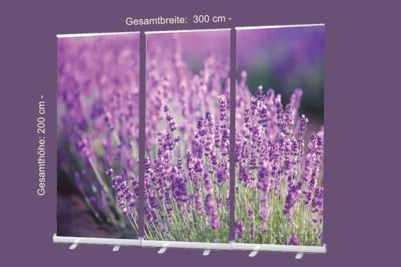 Roll-Up 3er-Set mit Lavendelmotiv in Lila: Bibelvers aus Jesaja 43,1 – „Fürchte dich nicht, denn ich habe dich erlöst“ – Inspirierender Zuspruch für Räume der Stille, Abschied oder Trost – 300 x 200 cm