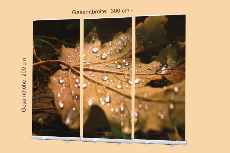 Roll-Up-Display Set mit Nahaufnahme eines nassen Herbstblatts – Bibelvers Psalm 23,4: „Und ob ich schon wanderte im finsteren Tal…“ – Trostvolles Motiv in gedeckten Erdtönen – 300 x 200 cm