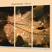 Roll-Up-Display Set mit Nahaufnahme eines nassen Herbstblatts – Bibelvers Psalm 23,4: „Und ob ich schon wanderte im finsteren Tal…“ – Trostvolles Motiv in gedeckten Erdtönen – 300 x 200 cm