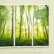 Bestatterbedarf Roll-Up Display 3er-Set mit sonnendurchflutetem Waldmotiv und Bibelvers Johannes 6,47 auf modernem Studiohintergrund - Infinity