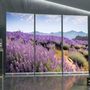 3-teiliges Roll-Up Display mit Lavendellandschaft als stilvolle Trauerdekoration für Bestatter und Trauerhallen