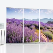 Freigestelltes 3-teiliges Roll-up-Display System Infinity mit einem weiten Lavendelfeld-Motiv und Transporttasche vor weißem Hintergrund