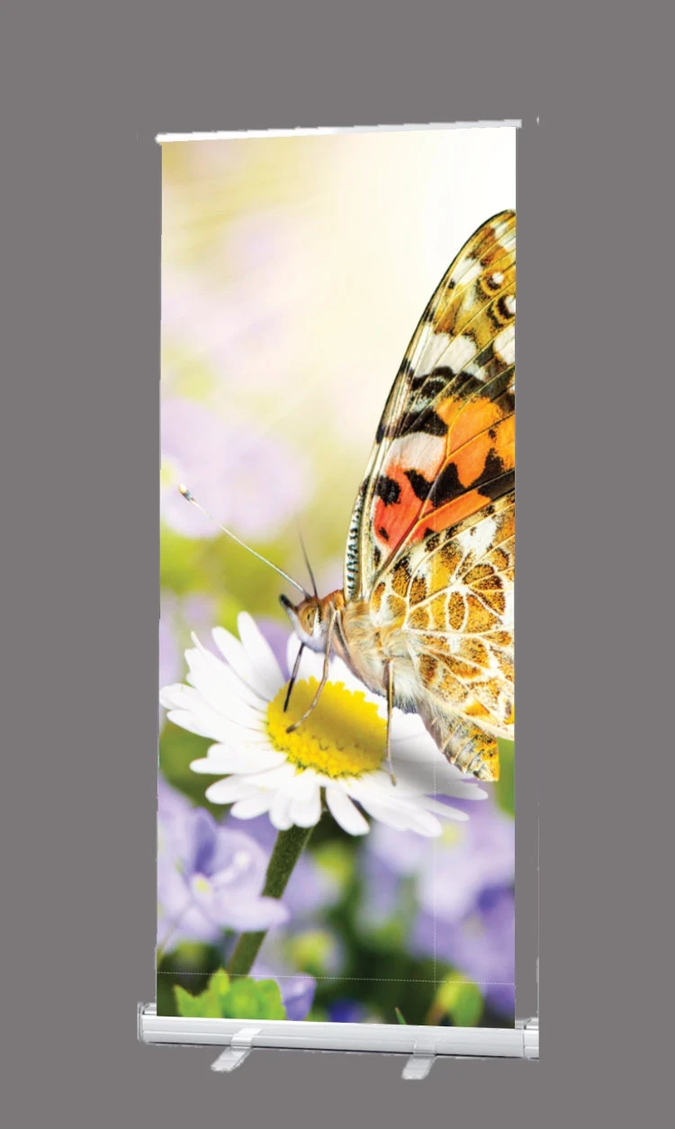 Bestatterbedarf: Roll-Up Display 1er-Set "Diestelfalter "