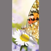 Bestatterbedarf: Roll-Up Display 1er-Set "Diestelfalter "