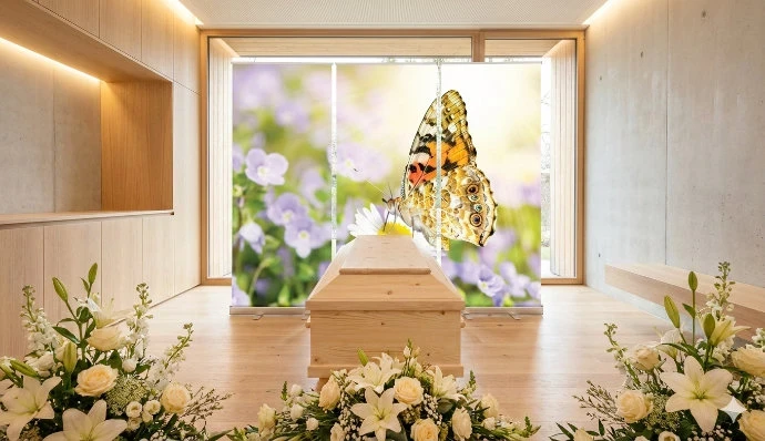 Bestatterbedarf: Roll-Up Display 3er-Set "Diestelfalter"