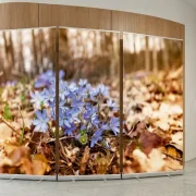 Bestatterbedarf - Rollup Set  in Trauerhalle als 3er Set mit Blumen-Motiv