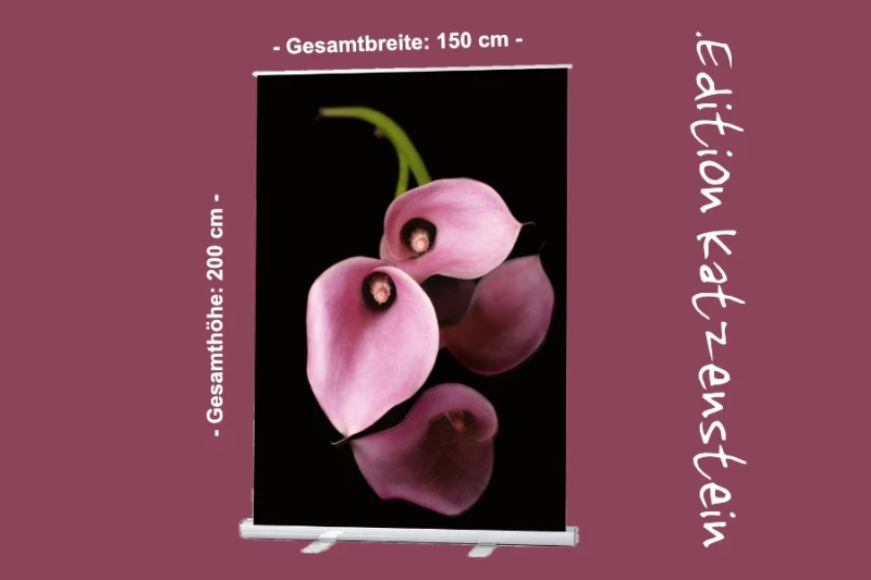 Bestatterbedarf: Roll-Up-Display: Calla-Blüten