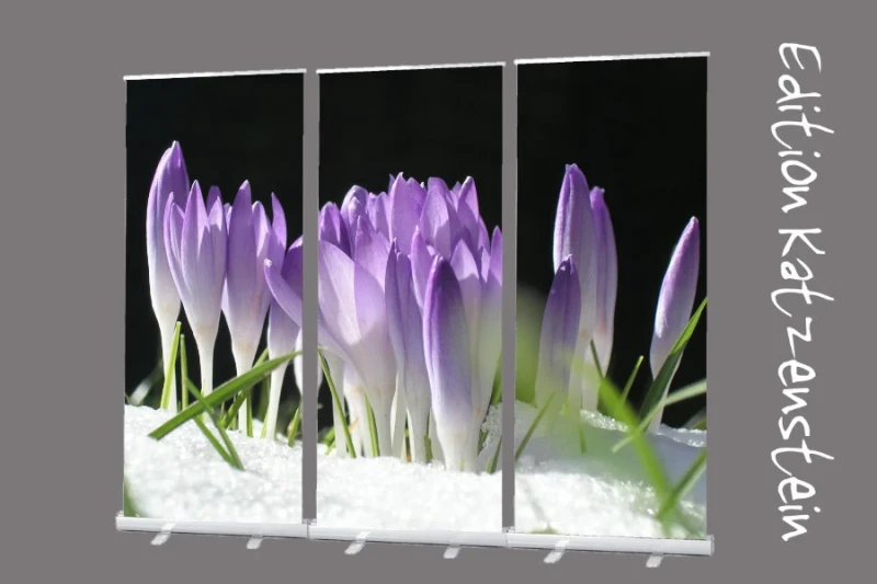 Bestatterbedarf: Roll-Up Display Set "Lila Krokusse im Schnee“