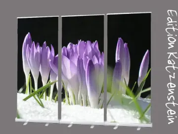 Bestatterbedarf: Roll-Up Display Set "Lila Krokusse im Schnee“