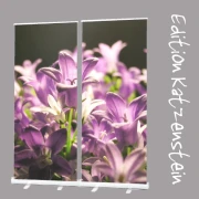 Bestatterbedarf: Roll-Up Display f. Bestattung, Ballonblumen