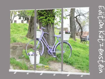 Bestattungsbedarf: Roll-Up Display Set "An Baum gelehntes lila Fahrrad"
