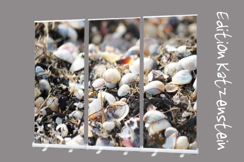 Bestattungsbedarf: Roll-Up Display Set "Frisch angespülte Muscheln"