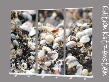 Bestattungsbedarf: Roll-Up Display Set "Frisch angespülte Muscheln"
