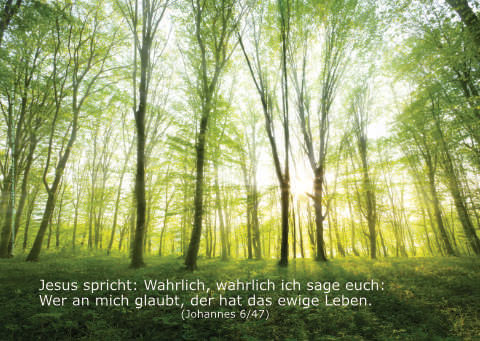 Poster A2 - 14-Stück-Set - 1