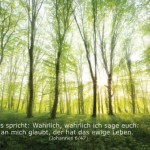 Poster A2 - 14-Stück-Set - 1