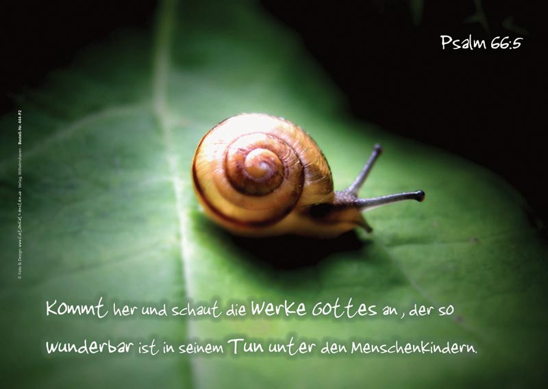 Poster A2 - 14-Stück-Set 2 -Schaukasten-Plakate