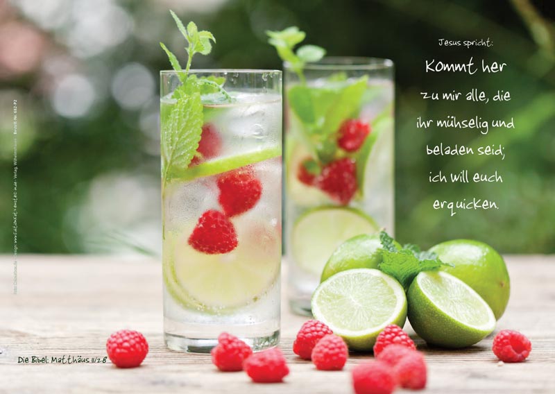 Poster A2 - 14-Stück-Set 2 -Schaukasten-Plakate