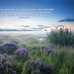 Poster A2 - 14-Stück-Set 2 -Schaukasten-Plakate