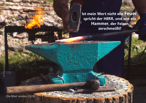 Poster A2 - 14-Stück-Set 2 -Schaukasten-Plakate