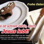 Poster A2 - 14-Stück-Set 2 -Schaukasten-Plakate