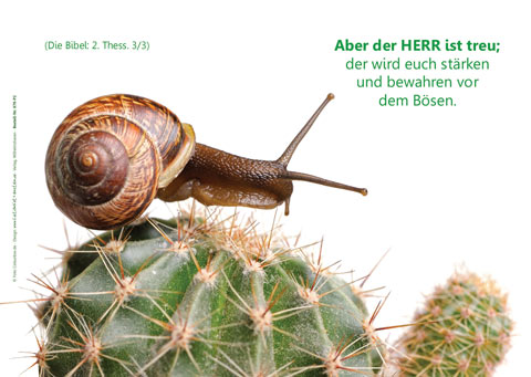 Poster A2 - 14-Stück-Set 3 -Schaukasten-Plakate