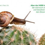 Poster A2 - 14-Stück-Set 3 -Schaukasten-Plakate