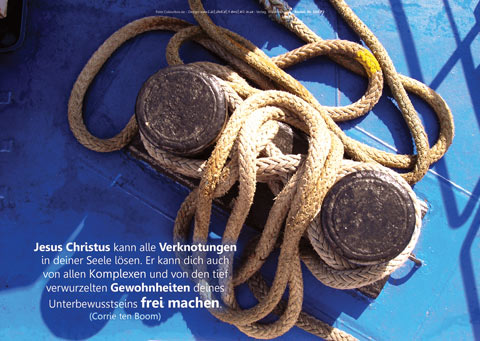 Poster A2 - 14-Stück-Set 3 -Schaukasten-Plakate