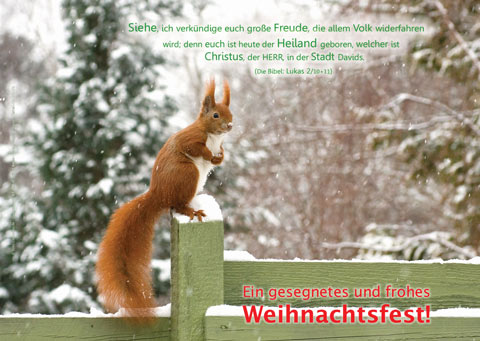 Poster A2 - 14-Stück-Set 3 -Schaukasten-Plakate
