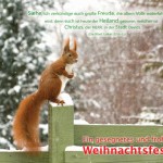 Poster A2 - 14-Stück-Set 3 -Schaukasten-Plakate