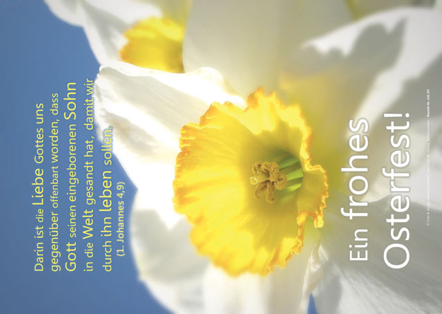 Poster A2 - 14-Stück-Set - 4 -Schaukasten-Plakate