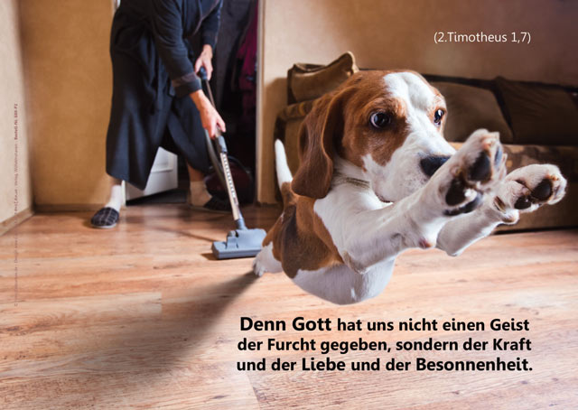 Poster A2 - 14-Stück-Set - 4 -Schaukasten-Plakate