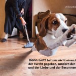 Poster A2 - 14-Stück-Set - 4 -Schaukasten-Plakate