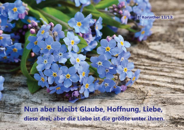 Poster A2 - 14-Stück-Set - 4 -Schaukasten-Plakate