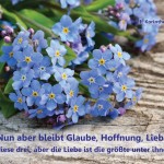 Poster A2 - 14-Stück-Set - 4 -Schaukasten-Plakate