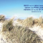 Poster A2 - 14-Stück-Set - 4 -Schaukasten-Plakate