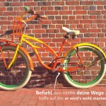 Poster A2 - 14-Stück-Set - 4 -Schaukasten-Plakate