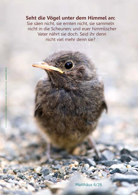 Poster A2 - 14-Stück-Set - 4 -Schaukasten-Plakate