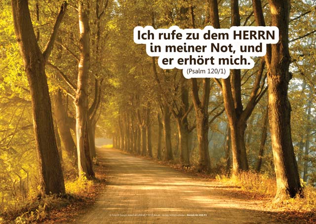 Poster A2 - 14-Stück-Set - 4 -Schaukasten-Plakate