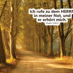 Poster A2 - 14-Stück-Set - 4 -Schaukasten-Plakate