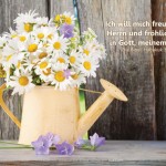 Poster A2 - 14-Stück-Set - Nostalgie