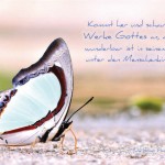 Poster A2 - 14-Stück-Set - Psalmworte