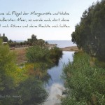 Poster A2 - 14-Stück-Set - Psalmworte