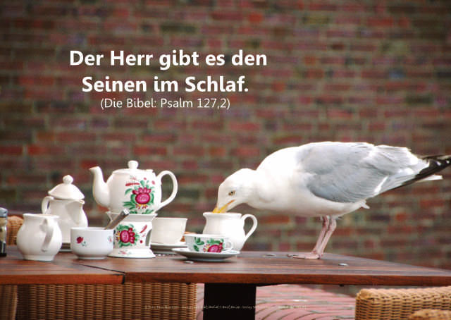 Poster A2 - 14-Stück-Set - Psalmworte
