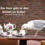 Poster A2 - 14-Stück-Set - Psalmworte