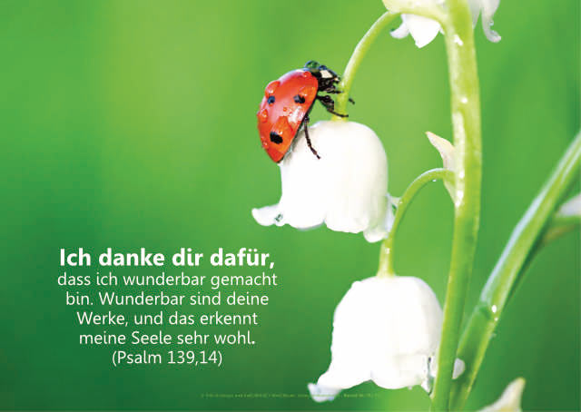 Poster A2 - 14-Stück-Set - Psalmworte