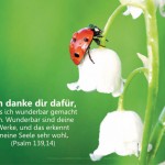 Poster A2 - 14-Stück-Set - Psalmworte